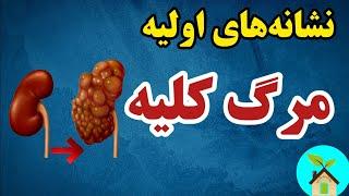 نشانه‌های اولیه مرگ کلیه/ با رعایت این نکات از مرگ کلیه پیشگیری کن