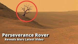 NASA Mars Rover Sent Most Shocking Footage of Mars' Sol 1206! Perseverance & Curiosity' Mars In 4K