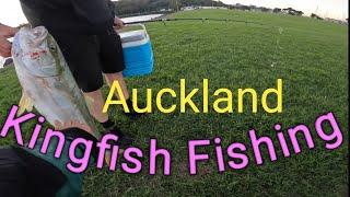 Kingfish Fishing Best Spots Auckland