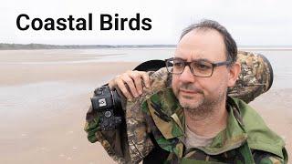 The Reality Of Bird Photography in the UK - I Needed a Back-up Plan!