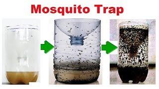 Mosquito Trap | How to Make a Home Made Mosquito | Easy and Effective | Eco Friendly Mosquito Traps