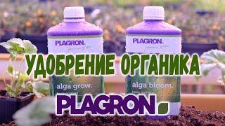 Удобрение Plagron Alga Grow для роста и Bloom для цветения