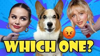 Why Does My CORGI Dislike Sabrina Carpenter & Selena Gomez?