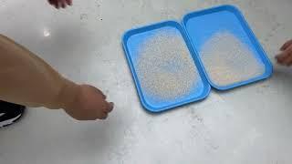 rice color sorter shape sorting broken rice