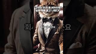 “고양이 비서 월 800만원? 실제 채용 공고 나왔다!”