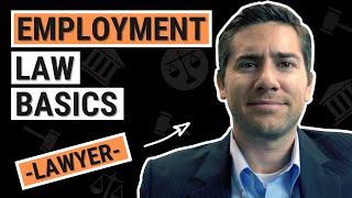 Employment Law for Business Owners, Managers & HR - Avoid Getting Sued