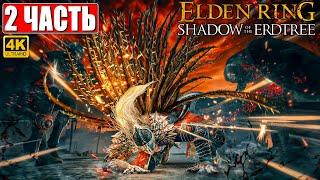 ПРОХОЖДЕНИЕ SHADOW OF THE ERDTREE - ELDEN RING [4K]  Часть 2  На Русском  DLC Элден Ринг на ПК