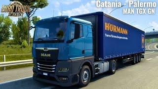 Doors from Catania to Palermo (Italy) | MAN TGX GN