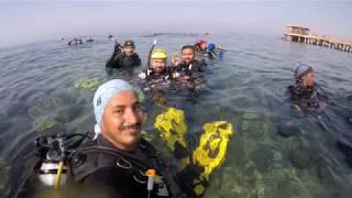 Diving with Nomanism 08-11-2019