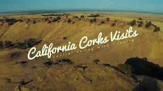 Central Valley Wine Country Highlights