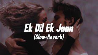 Ek Dil Ek Jaan - [Slowed + Reverb] | Padmaavat