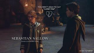 Sebastian Sallow | you didn't mean to say i love you