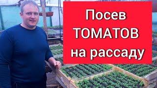 Посев ТОМАТОВ на рассаду