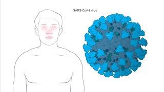 How does Moderna's Coronavirus vaccine work?