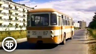 Сыктывкар (1978). Из цикла "Города Советского Союза"