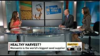 Rachel Parent debates GMO's (vs) Kevin O'Leary on CBC's Lang & O'Leary Exchange