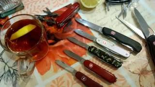 Выбор складных ножей Victorinox для минималиста или о викториноксах двурядниках.