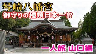 【一人旅山口編】御守りの種類が日本一!?ぶらり旅 第465回「山口県:琴崎八幡宮」-アクセス,駐車場,縁結び,神社-　Kotosaki Hachiman Shrine,Yamaguchi