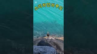 재능대학교 복지케어과 (옹달선생 ) 김녕해수욕장