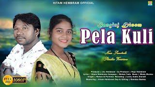 SANGINJ DISOM PELA KULI  || NEW SANTALI STUDIO VERSION 2024 || SINGER-MOHAN & PURNIMA