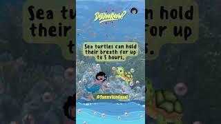 Asal's Sea Secrets | Sea Turtles #kidslearning #aprendizadoinfantil #kinderlernen #kids #science