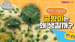 먹다 남은 음식에 핀 쿰쿰한 곰팡이!ㅣ곰팡이는 왜 생길까?ㅣ아하! 그렇구나ㅣKBS 방송