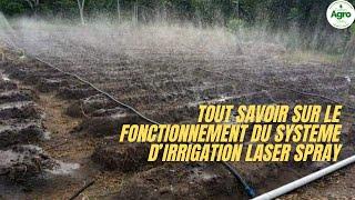 Le fonctionnement du système d'irrigation Laser Spray