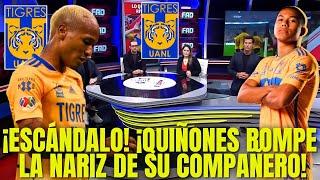 ¡URGENTE! ¡TOMEN UNA ACCIÓN CONTRA QUIÑONES! NOTICIAS DE TIGRES HOY