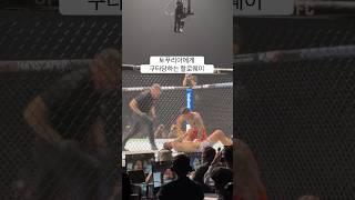 토푸리아 VS 할로웨이 #ufc #mma #boxing