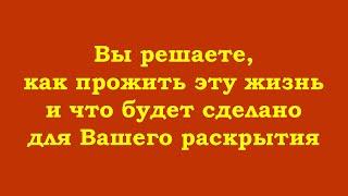 Это Вы решаете, как прожить эту жизнь и что будет сделано для Вашего раскрытия