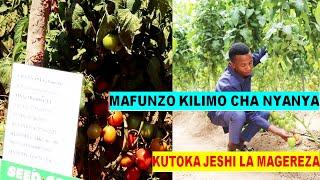 Mafunzo ya KILIMO CHA NYANYA 2022 Kutoka jeshi la magereza tanzania