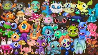 All Babies Are Created By Fanmade | My Singing Monsters