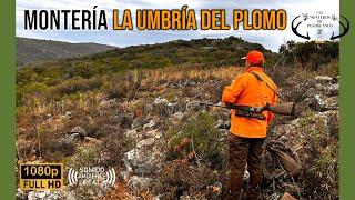 MONTERÍA UMBRÍA DEL PLOMO 2024 | C.D. MONTEROS DE POZOBLANCO