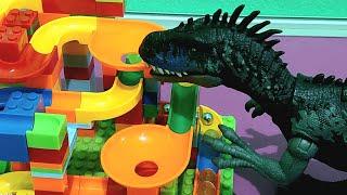 Satisfying ASMR Marble Run | Building Blocks | Lego Duplo | play Colorful marbles white Dino