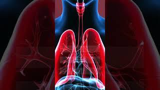 Anatomy Quiz! #anatomy  #quiztime  #quiz  #anatomyclass