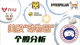 “美股动物园”里的猫咪CAT、大鹅GOOS 、老虎TIGR、小牛NIU个股分析！如何设置可以判断顶底的神奇九转指标？(威廉美股03/15)