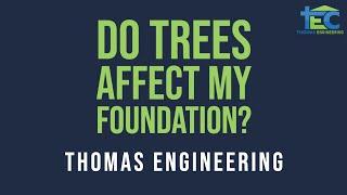 Do Trees Affect My Foundation? Thomas Engineering Q&A