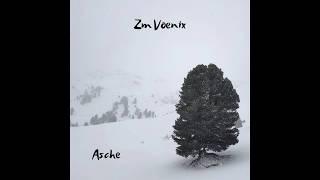 Zm Voenix - Asche (Lyric Video)