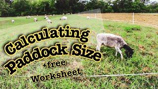 HOW BIG SHOULD EACH PADDOCK BE? Calculating Grazing Paddock Size for Rotational Grazing sheep & cows