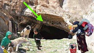 Cave living:shelter to start a life away from humans #mother