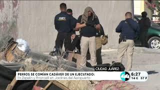 Perros se comían cadáver de un ejecutado