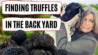 Teach Your Dog To Find Truffles in the Back Yard