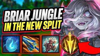 L0ganJGs Season 15 Challenger Briar GUIDE for Beginners | Runes, Builds, Pathing!