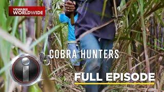 ‘Cobra Hunters’, dokumentaryo ni Kara David (Full episode) | I-Witness