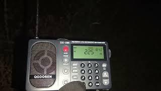 225kHz Radio Jedynka 15:43UTC 05-Oct-2024