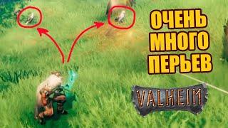 Где найти Перья для стрел Valheim | Как добыть много