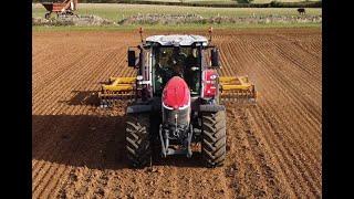 Massey Ferguson 8s 265 on light cultivations