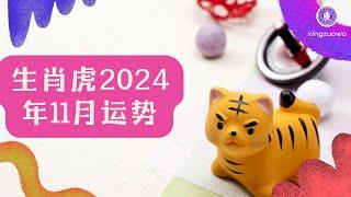 2024年11月属虎人运势 属虎2024年11月运程#生肖虎 #2024年运势 #11月运势 #属虎运势