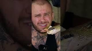 Z KAMERĄ WŚRÓD ZWIERZĄT #trending #viralvideo #funny #snake