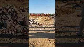 Abu Jahl ki qabar | Throwing stones on Abu Jahl's Grave | Ghazwa e Badar Madinah | #abujahal #shorts